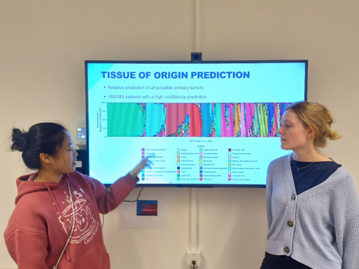 Unveiling the Complex and Enigmatic Biology of Cancer of Unknown Primary through their Genomic Landscape
